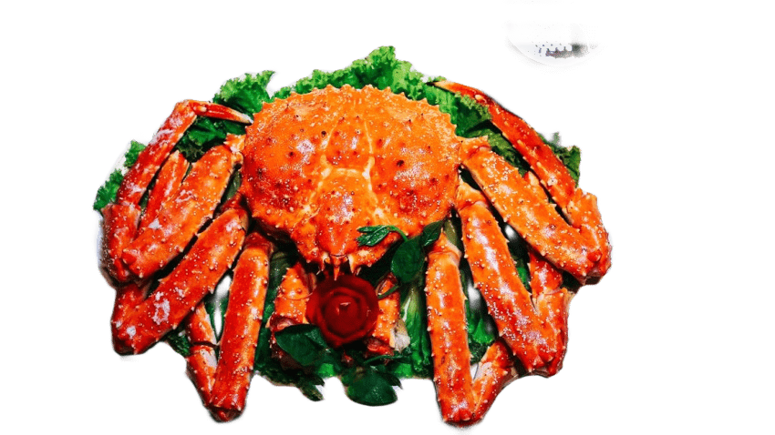 Krab Kingz_about