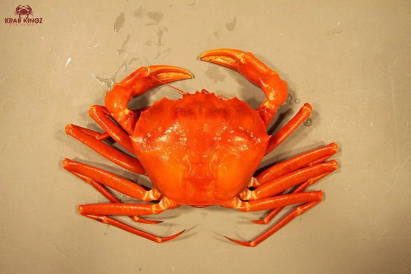 red crab