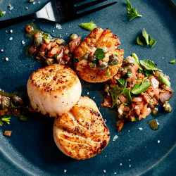 Large Scallop Plate