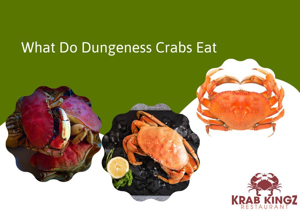 what do dungeness crab eat