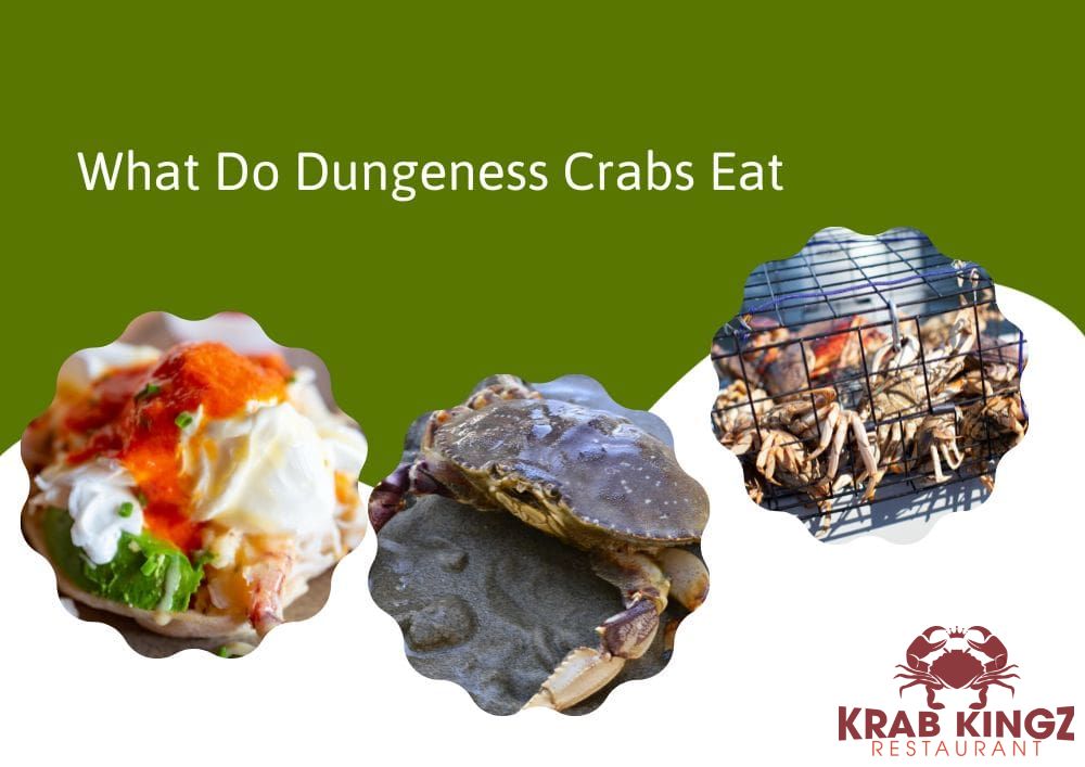 what do dungeness crab eat