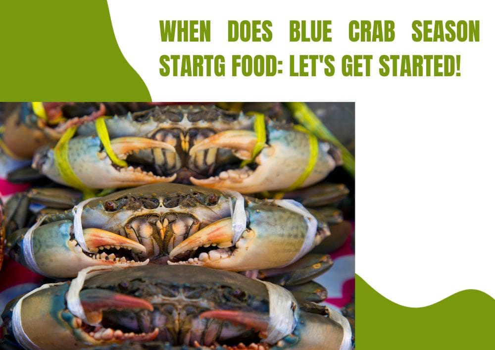 when does blue crab season start
