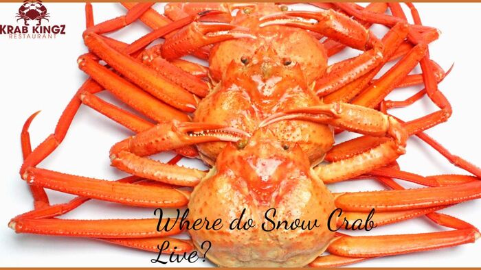 where do snow crab live
